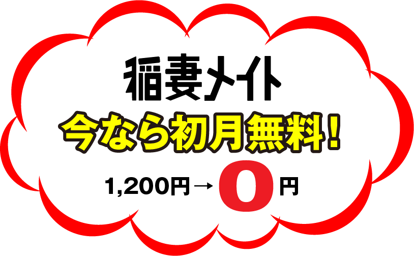 稲妻メイト 今なら初月無料! 1,200円→0円