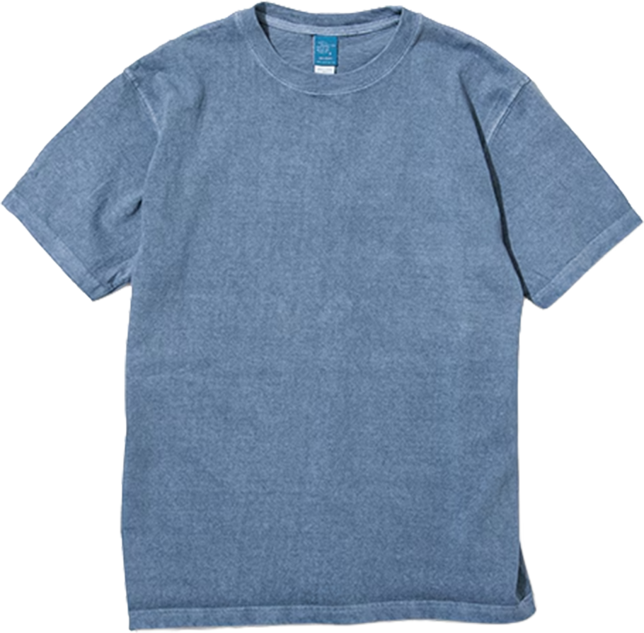 稲妻フェスティバル プレミアムTシャツ